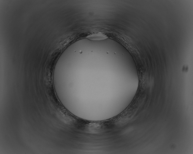 X0000091170418200708301159