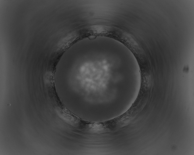 X0000091170419200708301159