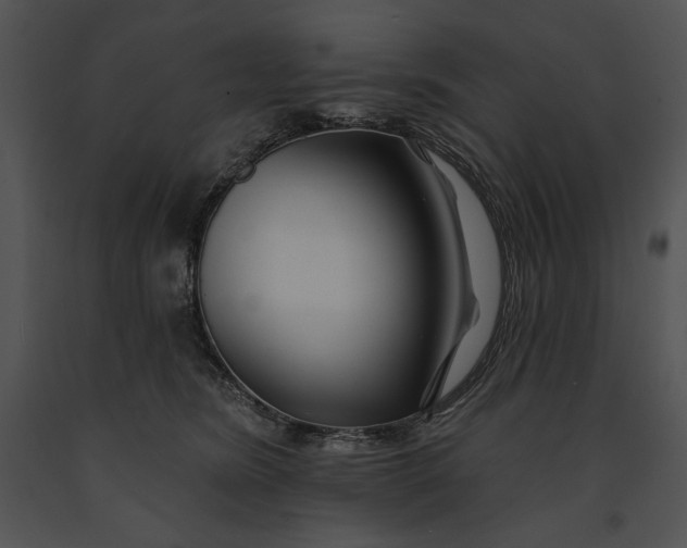 X0000091170420200708301159