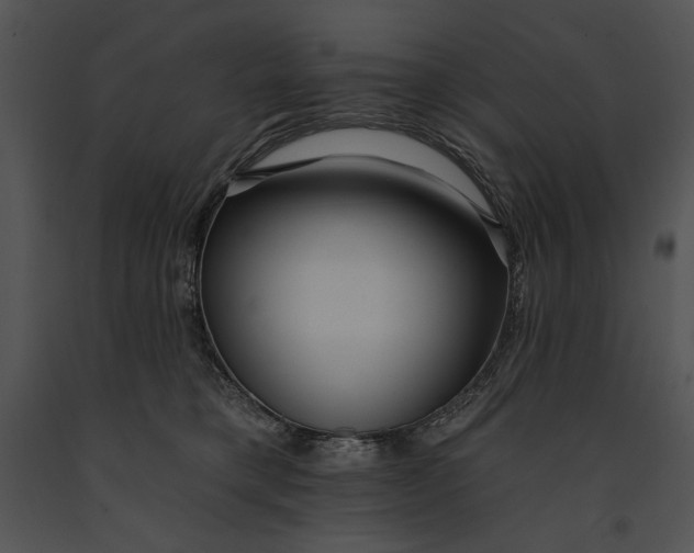 X0000091170421200708301159