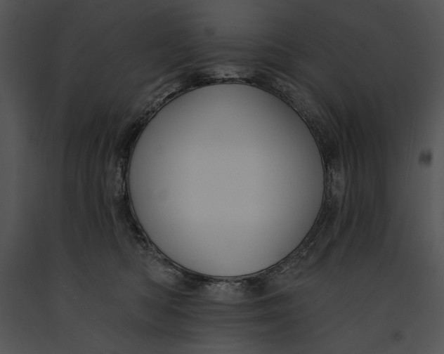 X0000091170422200708301159