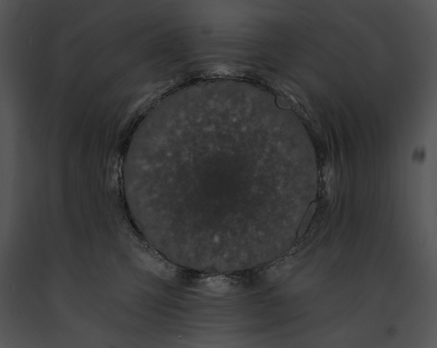 X0000091170423200708301159