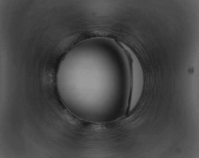 X0000091170424200708301159