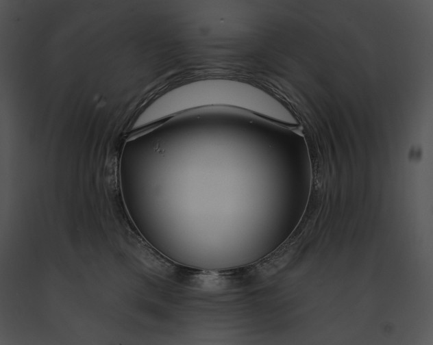 X0000091170425200708301159