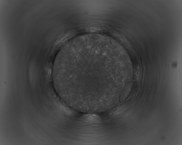 X0000091170427200708301159