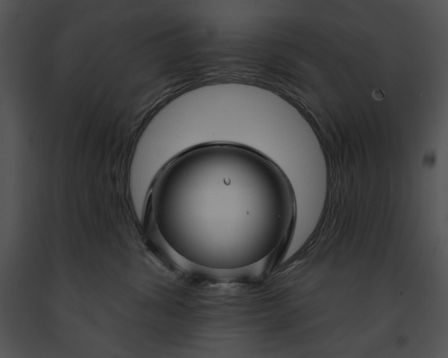 X0000091170428200708301159