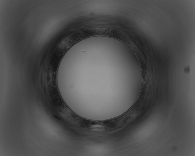 X0000091170430200708301159