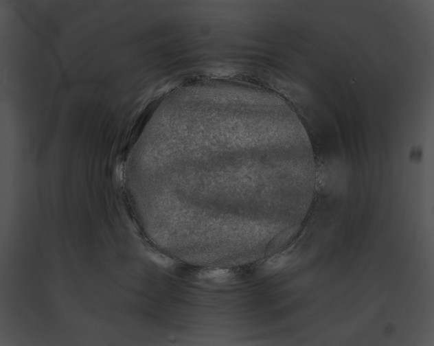 X0000091170431200708301159