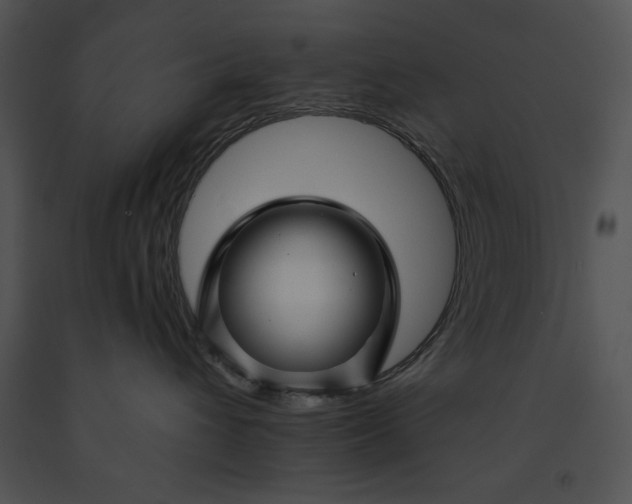 X0000091170432200708301159