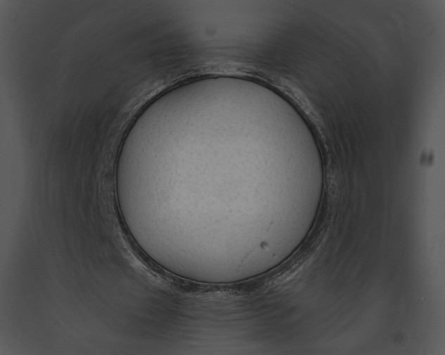 X0000091170433200708301159