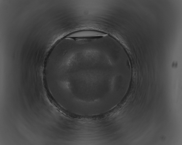 X0000091170434200708301159