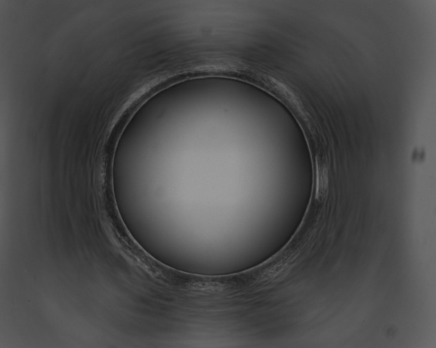 X0000091170435200708301159