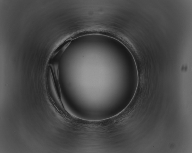 X0000091170436200708301159