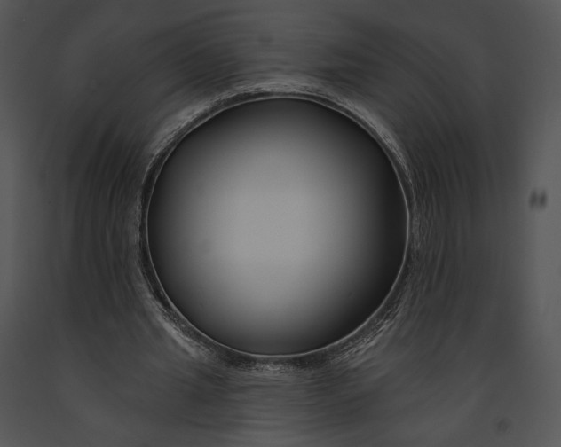 X0000091170437200708301159