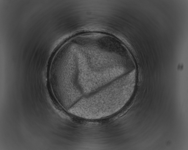 X0000091170438200708301159