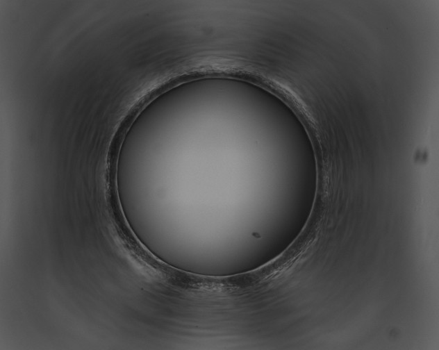 X0000091170439200708301159