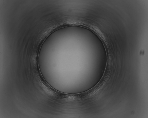 X0000091170441200708301159