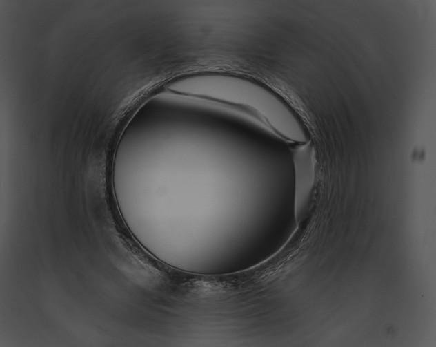 X0000091170442200708301159