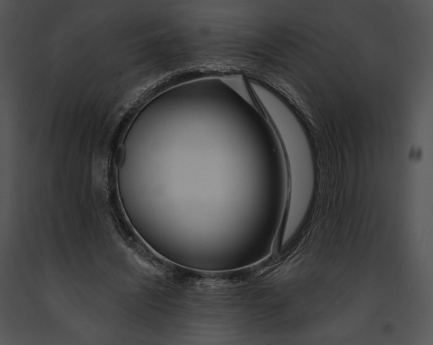 X0000091170444200708301159