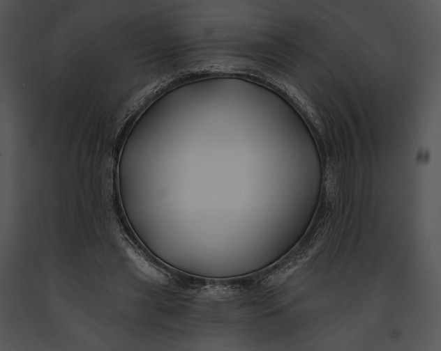 X0000091170445200708301159