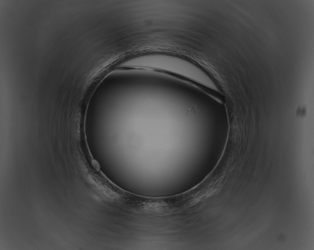 X0000091170446200708301159