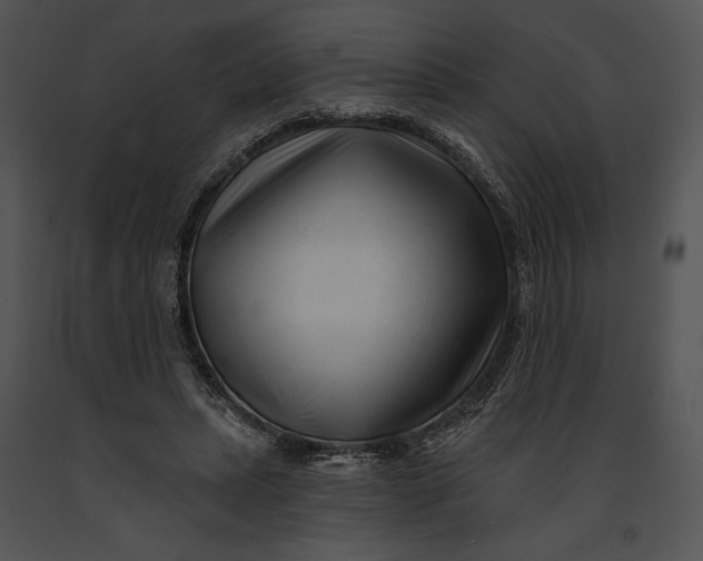 X0000091170447200708301159