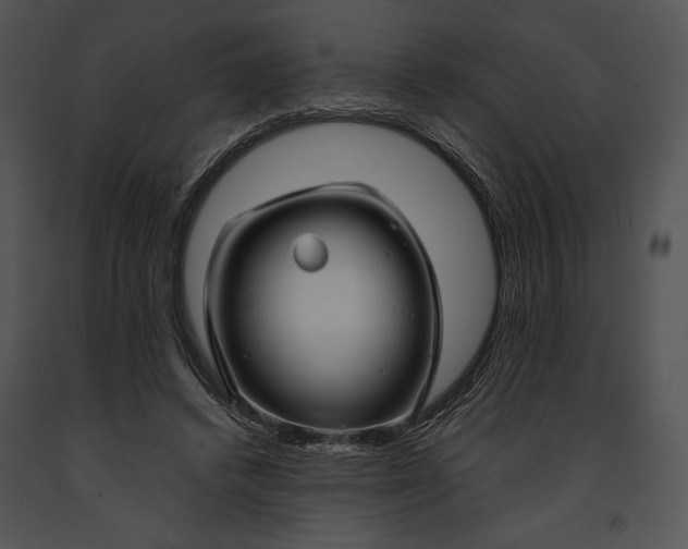 X0000091170448200708301159