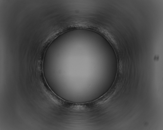 X0000091170449200708301159