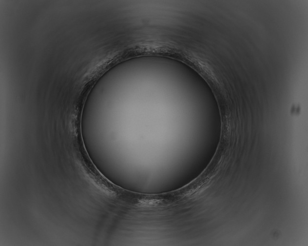 X0000091170450200708301159