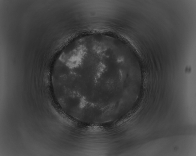 X0000091170451200708301159