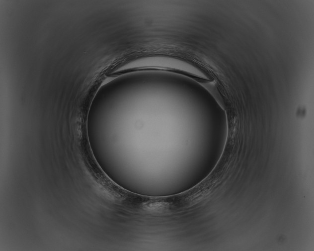 X0000091170452200708301159