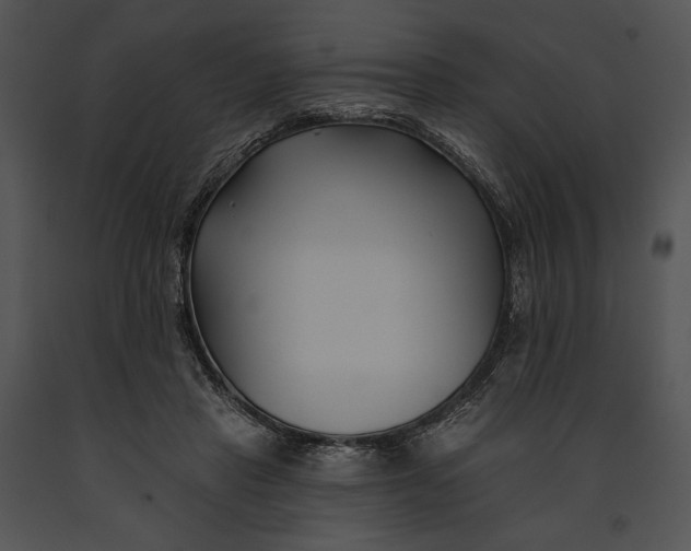 X0000091170453200708301159