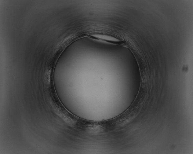 X0000091170454200708301159