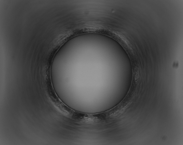 X0000091170455200708301159