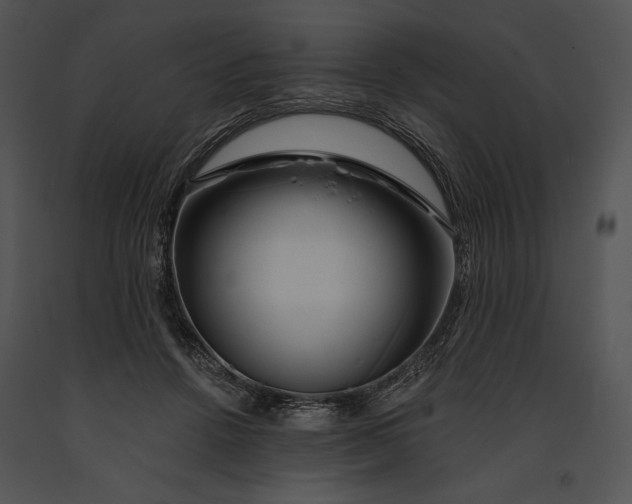 X0000091170456200708301159