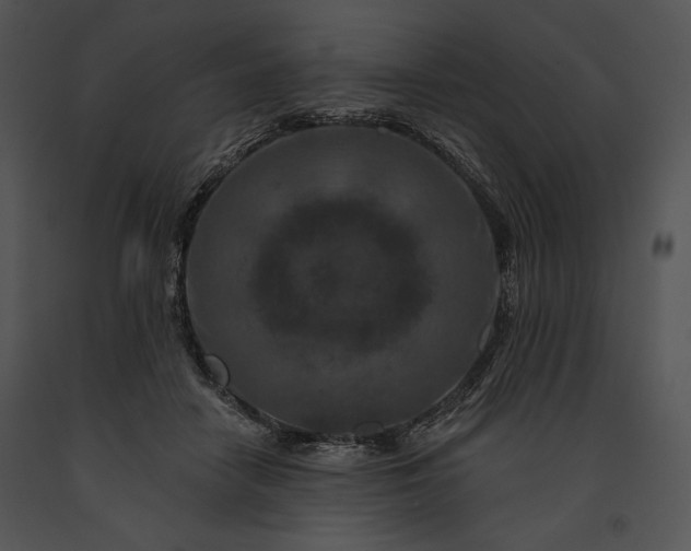 X0000091170458200708301159