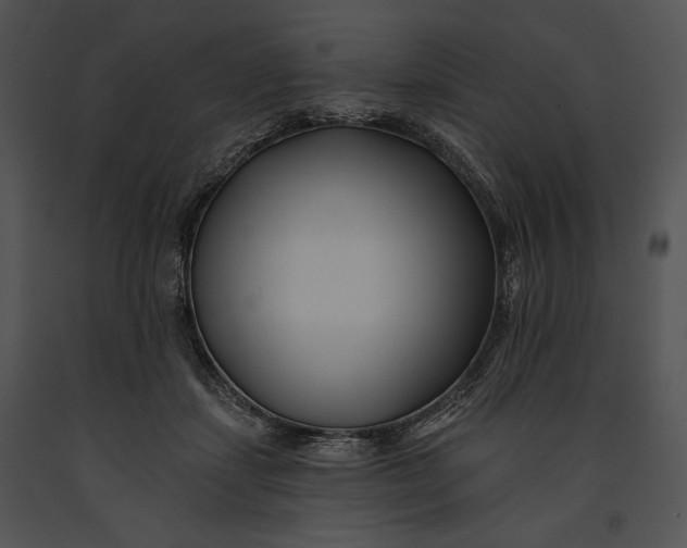 X0000091170459200708301159