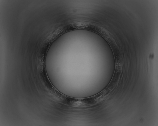 X0000091170460200708301159