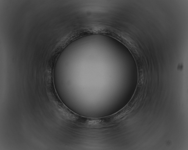 X0000091170461200708301159