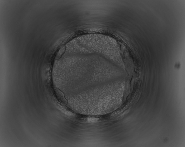 X0000091170462200708301159