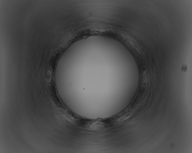 X0000091170463200708301159