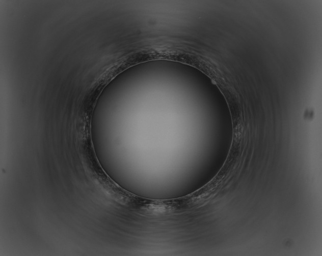 X0000091170464200708301159