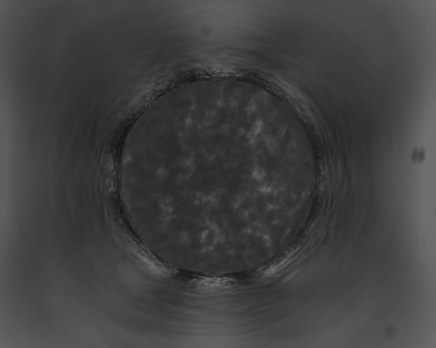 X0000091170465200708301159