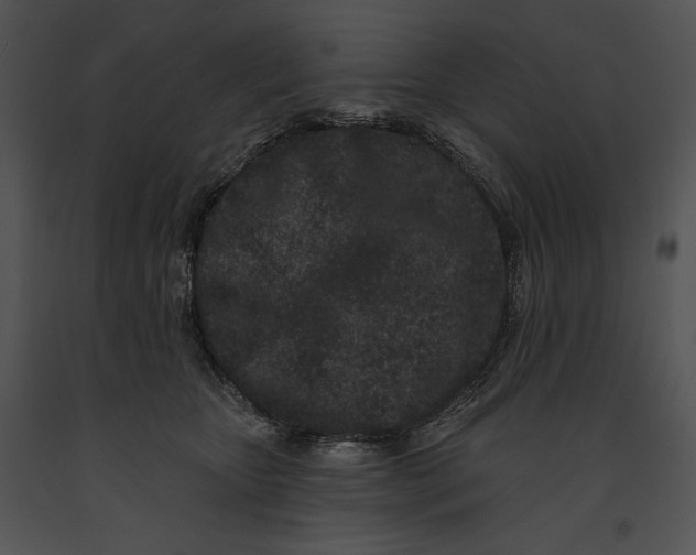 X0000091170467200708301159