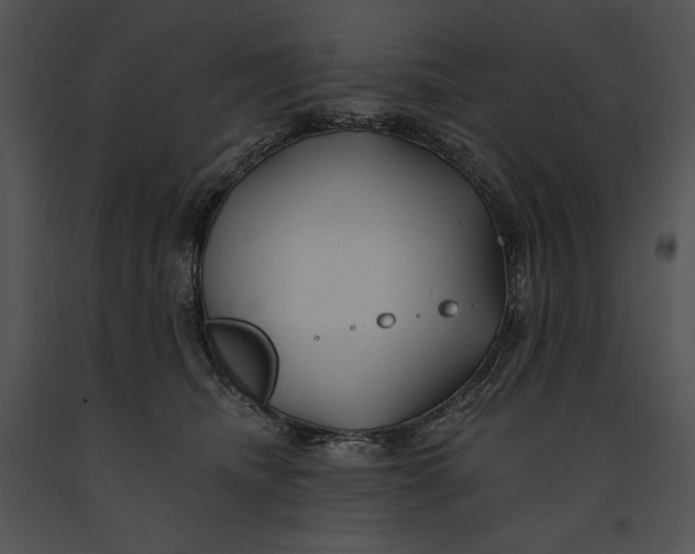 X0000091170468200708301159