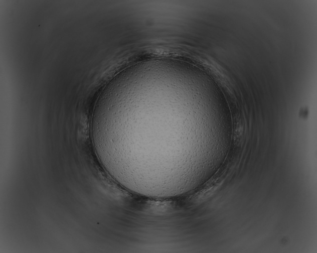 X0000091170469200708301159