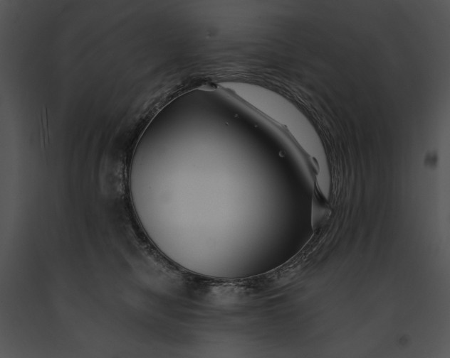 X0000091170470200708301159