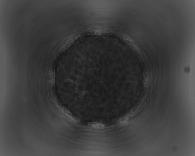 X0000091170471200708301159