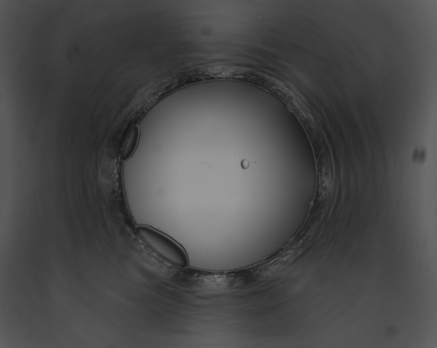 X0000091170473200708301159