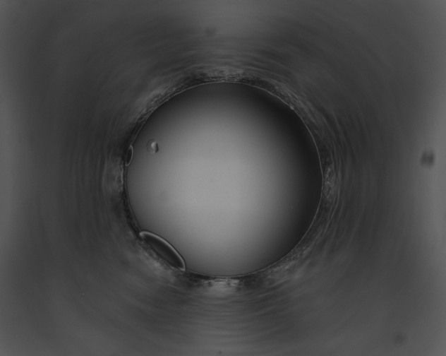 X0000091170474200708301159